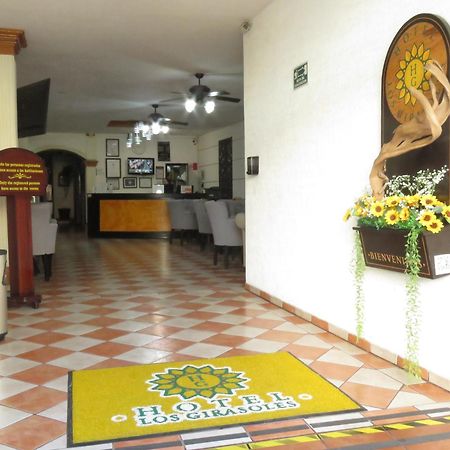 Hotel Los Girasoles 特皮克 外观 照片